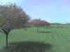 Photo_051708_003.jpg (46620 bytes)