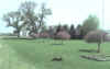 Photo_051708_0061.jpg (47116 bytes)