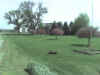 Photo_051708_006.jpg (61271 bytes)