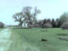 Photo_051708_007.jpg (52365 bytes)