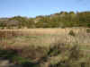 Realestate south of Rodney (1).jpg (153641 bytes)