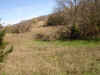 Realestate south of Rodney (3).jpg (154014 bytes)