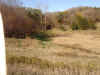 Realestate south of Rodney (8).jpg (148927 bytes)