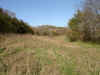 Realestate south of Rodney (9).jpg (147789 bytes)
