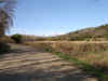Realestate south of Rodney.jpg (152460 bytes)